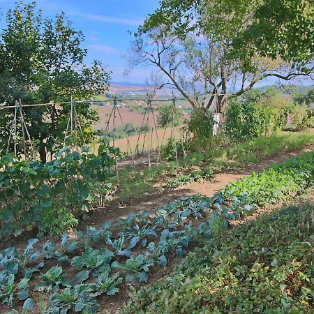 In With Pool & Forest Feriehus *