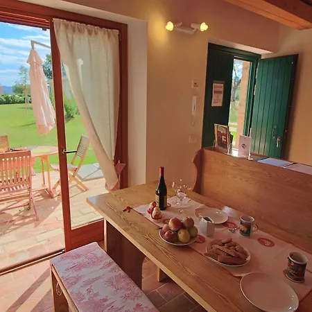 In With Pool & Forest *