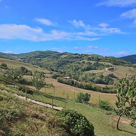 Feriehus In With Pool & Forest