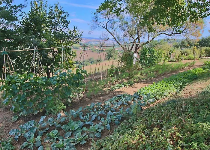 In With Pool & Forest Сasa de vacaciones *