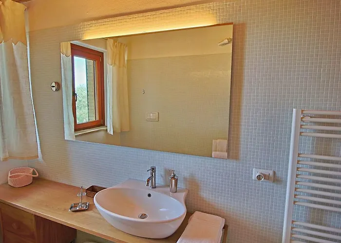 In With Pool & Forest