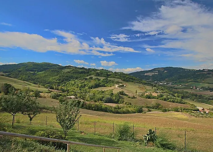 In With Pool & Forest * Montelabbate